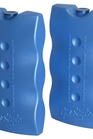 2 Pezzi Di Ghiaccio Con Durata 12 Ore In Plastica Blu Gr400 Professionale